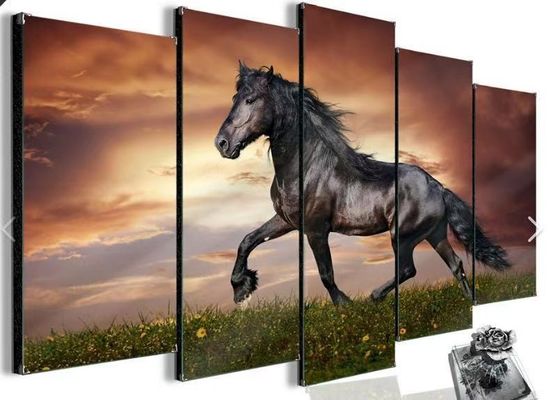 Πολυ ελεγκτής τοίχων γωνίας 20W HDMI τηλεοπτικός με την καλλιτεχνική ελευθερία